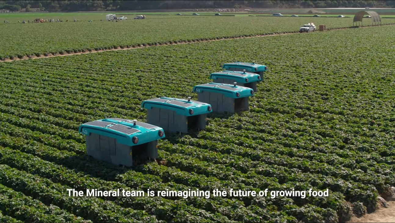 Alphabet忍痛割舍:农业AI先锋Mineral因盈利困境宣告关闭